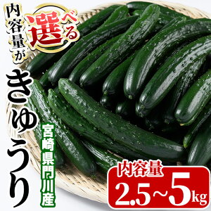 yӂ邳Ɣ[ŁzeʂIׂI{茧Yイ(2.5kg/5kg) ₳ { VN T_ LE ӉZ ① {茧YyNS-1ENS-1zyV_z