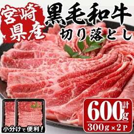 【ふるさと納税】宮崎県産黒毛和牛切り落とし(計600g・300g×2P)牛肉 精肉 お肉 モモ 肩 カタ バラ ミックス 小分け すき焼き しゃぶしゃぶ 牛丼 肉じゃが 国産 冷凍【P-20】【南日本フレッシュフード株式会社(日本ハムマーケティング株式会社)】