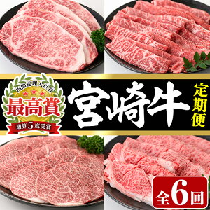 yӂ邳Ɣ[ŁzyցE6Az{苍([XXe[LA[XĂAēAoĂ)   XCX јa BBQ  Y Ⓚ RVF