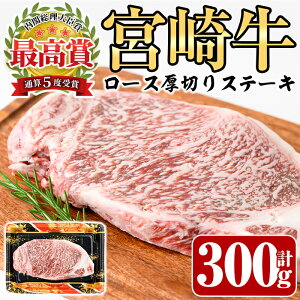 yӂ邳Ɣ[Łz{苍 [X ؂ Xe[L(300g)A4 A5    ē јa uha  Y Ⓚ BBQ o[xL[yP-30zy{tbVt[h({