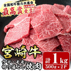 【ふるさと納税】宮崎牛ウデ・モモ切り落とし焼肉(計1kg)牛肉 うで もも 肉 BBQ 精肉 お取り寄せ 黒毛和牛 ブランド和牛 冷凍 国産【R-71】【ミヤチク】