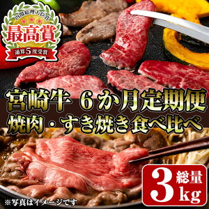 yӂ邳Ɣ[ŁzyցES6(A)z{苍ēEĂHהג   јa uha Ⓚ Y Ԃ Ă ē BBQ [X Ef  Ԑg yR-98zy