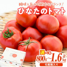 【ふるさと納税】＜先行予約受付中！2027年1～5月の間に発送予定＞＜内容量が選べる！＞門川ひなたのトマト(計800g～1.6kg) フルーツトマト 高糖度 トマト 野菜 旬野菜 冷蔵 門川町産 宮崎県 門川町 【TM-01・TM-02】【宮崎県農業協同組合日向地区本部(門川選果場)】