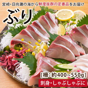 yӂ邳Ɣ[ŁzykCEzszԂ̂hg(400`550g)  { CN u  Ԃ hg Ԃ ① {茧 쒬yUZ-03zy֐Yz