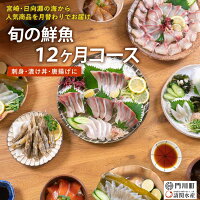 日向灘沖で育った鮮魚を1年間お楽しみいただけます!さしみ、漬け丼、唐揚げに...