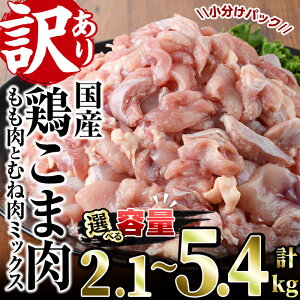 yӂ邳Ɣ[ŁzeʂIׂI󂠂聄Y{ܓ(v2.1`5.4kg){  l  Y  Ⓚ ֗ Ԑ؂ ~bNXyV-55EV-23EV-56zy{t[Yz