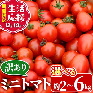 �y�ӂ邳�Ɣ[�Łz����s�\���t���I2026�N2�`3���̊Ԃɔ����\�聄�����e�ʂ��I�ׂ�I�� �󂠂� �K�i�O ���ʌ��� ��쒬�Y �~�j�g�}�g (�v2�`6kg) ���Ԍ��� �������� �t���[�c�g�}�g �Ƃ܂� 