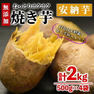yӂ邳Ɣ[Łzʌ聄ⓀĂ([)(v2kgE500g×4)Ⓚ Ĉ Ă ₫ ܂ ܈ W Hה   {茧 쒬yYO-3zy zz