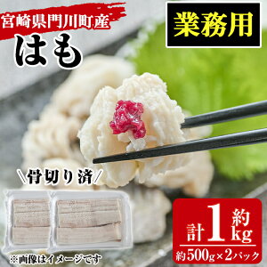 yӂ邳Ɣ[Łz󂠂EƖpMp͂(v1kgE500g×2pbN) Y n   VՂ Ԃ ؂ {茧 쒬yMR-2zyЃ}EYz