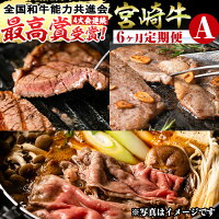 【ふるさと納税】【定期便・全6回(連続)】宮崎牛定期便＜Aセット＞お楽しみ...