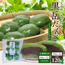 【ふるさと納税】＼定期便全4回／ だんご 黒岳だんご（6個入×5P）×4回［3か月毎配送］計120個 冷凍｜団子 和菓子 お菓子 あんこ こしあん よもぎ 米粉 手作り 個包装 大容量 もろっこはうす 宮崎県 諸塚村 MO-07