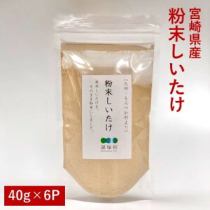 yӂ邳Ɣ[Łz{茧Y   40g×6pbN  ő  ؂  B X`  Y VRf Y