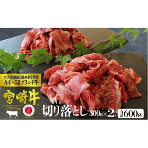 yӂ邳Ɣ[Łz{苍 ؂藎 600gi300g×2jzsFꕔ    јa Ԑ؂  Ⴊ uߕ Ă Ԃ {茧Y Yn @͂F͂