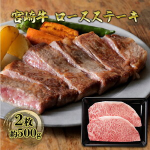 yӂ邳Ɣ[ŁzXe[L [X {苍 2 500g јa   