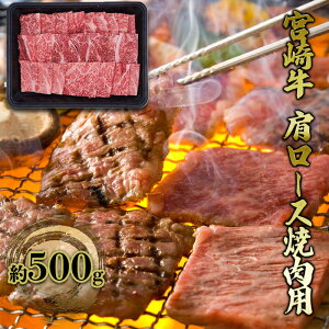 yӂ邳Ɣ[Łzē [X {苍 500g јa    BBQ o[xL[ Ă