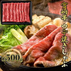 【ふるさと納税】すき焼き しゃぶしゃぶ 宮崎牛 約500g ウデ 焼きしゃぶ すきやき スキヤキ 黒毛和牛 牛肉 肉 お肉
