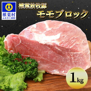 ステーキ 1kg 豚肉の人気商品 通販 価格比較 価格 Com
