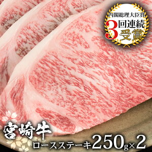 yӂ邳Ɣ[Łzܗ𑽐!! {苍 [XXe[L 250g×2yv500gz{茧Y  a јa Y Ⓚ   hV j j  Ε 蕨 Mtg a v[g BBQ L