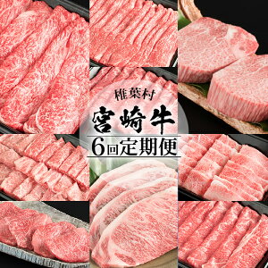 yӂ邳Ɣ[Łzy 6zܗ𑽐!! {苍 6 v4.9L y{茧Y  a јa Y Ⓚ   hV j j  Ε 蕨 Mtg a uh BBQ 