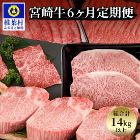 【ふるさと納税】【定期便 6回】受賞歴多数!! 宮崎牛 バラエティ【宮崎県産 肉 和牛 黒毛和牛 国産 冷凍 父 母 敬老 お祝い 内祝い お中元 お歳暮 贈り物 ギフト 誕生日 キャンプ ヒレ ロース 肩ロース スライス ウデ モモ】ステーキ 焼肉 しゃぶしゃぶ すきやき ブランド牛