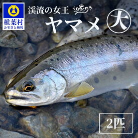 楽天市場 ヤマメ その他水産物 魚介類 水産加工品 食品の通販