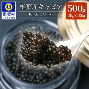 yӂ邳Ɣ[ŁzHEIKE CAVIAR ŗtY LrA v120g`500gySZ-126z| LrA lC Y `EU v[g    EO咿 Hi Ⓚ  ґ O Mtg 