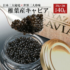 【ふるさと納税】【桐箱入り】【ギフト】HEIKE CAVIAR 椎葉産 キャビア 40g 【宮崎県 椎葉村】 チョウザメ 【世界三大珍味×日本三大秘境】