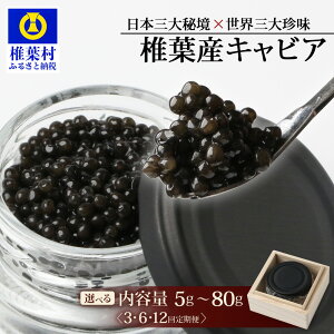 yӂ邳Ɣ[Łz Iׂ e z񐔁y˔zHEIKE CAVIAR ŗtY LrA 5g ` 80g 1 ` 12 |  Iׂ   LrA Y `EU  v[g   