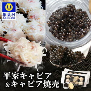 yӂ邳Ɣ[ŁzLrAĔ 8×2pbNƃLrA 5gZbg ySZ-136zb LrA lC Y `EU v[g   EO咿 Hi Ⓚ  ґ O
