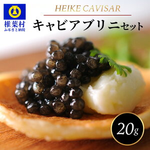 yӂ邳Ɣ[Łzy˔z{HEIKECAVIAR 10g`20g ujZbg yLrA߂Ă̕łHׂ₷zySZ-100zb LrA Y `EU  v[g   EO