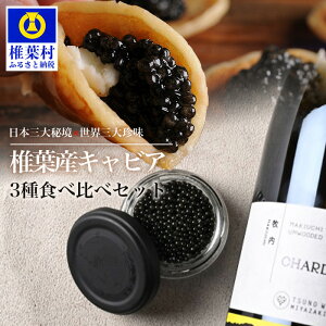 yӂ邳Ɣ[ŁzHEIKE CAVIAR 3Hה׃Zbg 20g×3yȈՕzySZ-131zb LrA Y `EU  v[g    EO咿 Hi Ⓚ  ґ O 