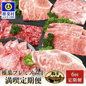 yӂ邳Ɣ[Łzsr[Ly[t 6 d3.1kg ŗtv~Ai Xe[L Ă Ԃ Ă b     lC јa uh A5