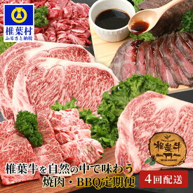 【ふるさと納税】【定期便4回】総重量2.4kg！椎葉牛 大自然の中で味わう焼肉・BBQ定期便【A5等級指定 黒毛和牛】≪焼き肉・ステーキ・切り落とし・ローストビーフ≫ 定期便 牛肉 A5ランク