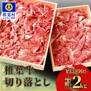 yӂ邳Ɣ[Łzsr[Ly[t {茧Y ŗt  ؂藎Ƃ 1kg ` 2kg |    A5 lC {茧Y  a јa Y Ⓚ BBQ Lv Ⓚ Ă Ă 