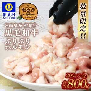 yӂ邳Ɣ[Łzsr[Ly[t {茧Y ŗt ՂՂzij200g×4Pi800gj |  z   lC јa a Y Y uh A5 