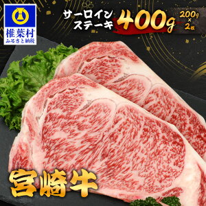 yӂ邳Ɣ[Łzsr[Ly[t {苍 T[CXe[L Iׂe 200g ` 400g | Iׂ  {茧 ŗt {苍 a јa    イ   T[CX