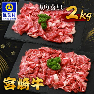 yӂ邳Ɣ[Łzsr[Ly[t y Iׂe z {苍 ؂藎Ƃ 1kg ` 2kg b ӂ邳Ɣ[ {茧 ŗt {苍 a јa     XCX  ؂藎