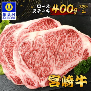 yӂ邳Ɣ[Łzsr[Ly[t {苍 [XXe[L 400g i 200g × 2 j Xe[L\[Xt b{茧 ŗt {苍 a јa     [XXe[L 