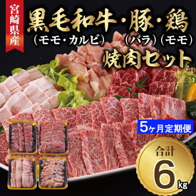 【ふるさと納税】【5ヶ月定期便】 宮崎県産 焼肉 セット 黒毛和牛 モモ カルビ 豚バラ 若鶏 モモ 合計6kg 各300g 小分け 冷凍 送料無料 国産 BBQ バーベキュー キャンプ 普段使い 炒め物 丼 カット 詰め合わせ 経産牛