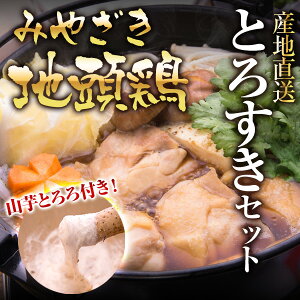 記事ID35647のサムネイル画像