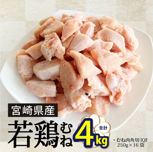 記事番号:35704/アイテムID:320558の画像