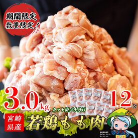 【ふるさと納税】 鶏肉 もも肉 パラパラ 切身 冷凍 250g×12 合計3kg 小分け 冷凍 モモ 国産 鳥 肉 宮崎県産 若鶏 期間限定 数量限定 おかず 収納スペース 便利 調理 チキン南蛮 鶏天 唐揚げ からあげ 揚げ 炒め シチュー 煮込み スープ お弁当 一口サイズ カット済み