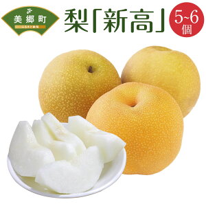 yӂ邳Ɣ[Łz yԌ蔭z  V 5`6 [_Y m {茧  31ab0133] Ȃ iV ʕ  t[c Y W[V[ 