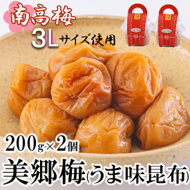 【ふるさと納税】 南高梅 梅干し 美郷梅 昆布 200g×2 3Lサイズ 塩分控えめ A級品 国産 宮崎県産 美郷産 常温 送料無料 贈答品 父の日 母の日 プレゼント ギフト おやつ お菓子 料理 調理 おかず