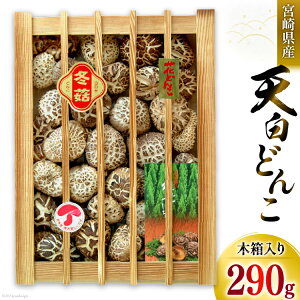 yӂ邳Ɣ[Łz {茧Y ő Mtg V ǂ uK-100v 290g  [cX {茧  31ac0037]  ő ő  Y BY {茧Y Mtg 蕨 v[g 