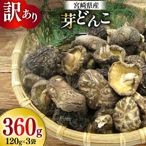 yӂ邳Ɣ[Łz 󂠂  {茧Y  ǂ 120g 3p v360g [cX {茧  31ac0064-NEW]  `FbN VC^P ő  VC^P ő Y ǂ