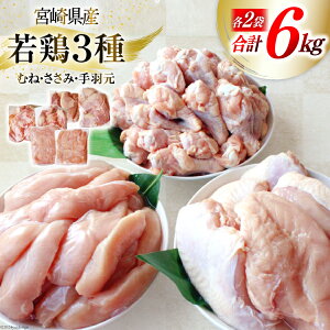 yӂ邳Ɣ[Łz { lߍ킹 {茧Y { ނ˓  H Zbg e1kg 2p v6kg [Bt[Y {茧  31ai0022]  ނ {ނ˓ {ނ H TT~ Ⓚ ^pb