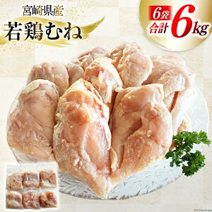 yӂ邳Ɣ[Łz { ނ˓ {茧Y {ނ˓ 1kg 6p v6kg [Bt[Y {茧  31ai0025]  ނ Ⓚ ^pbN {ނ˓ {ނ