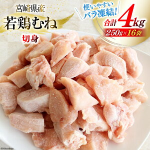 yӂ邳Ɣ[Łz { ނ˓ {ނ˓ Jbg 250g ×16p Zbg v 4kg [Bt[Y {茧  31aj0054]  ނ { { {ނ˓ l Ⓚ Y 