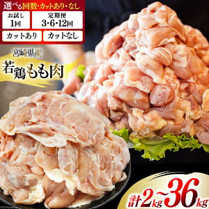 yӂ邳Ɣ[Łz { Iׂ Jbg e  {  ؐg  250g 8p or 12p 3 6 12  v 2kg ` v 36kg [Bt[Y {茧  31aj0046] Zbg  { {茧